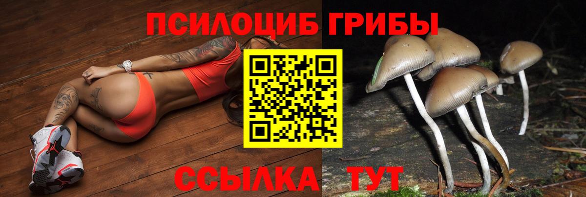Галлюциногенные грибы ЛСД Алатырь