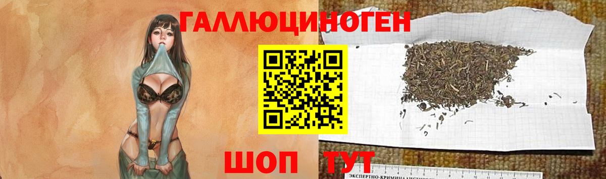 Галлюциногенные грибы Cubensis  Вход с VPN  Алатырь 
