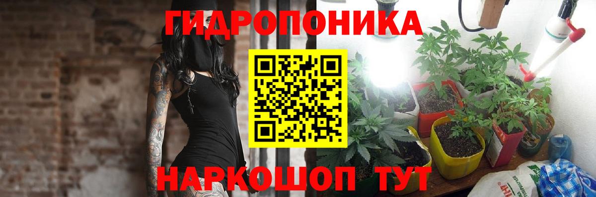 МАРИХУАНА индика Алатырь